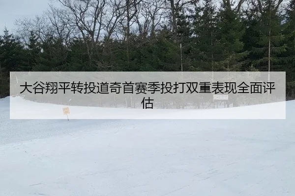 da-gu-xiang-ping-zhuan-tou-dao-qi-shou-sai-ji-tou-da-shuang-chong-biao-xian-quan-mian-ping-gu-2-334.jpg